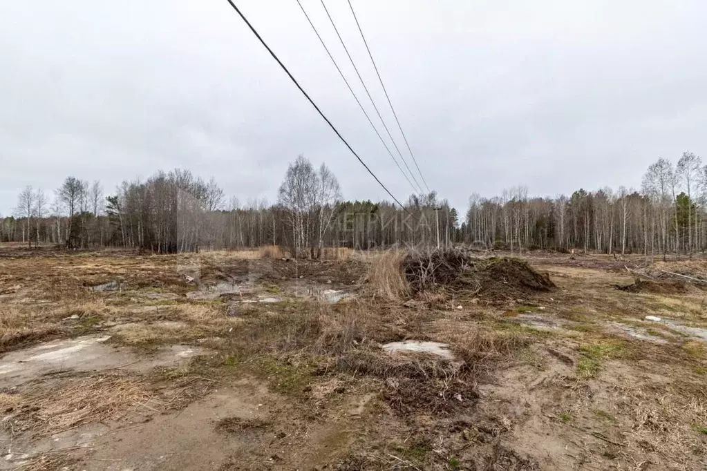 Участок в Тюменская область, Нижнетавдинский муниципальный округ, с. ... - Фото 1