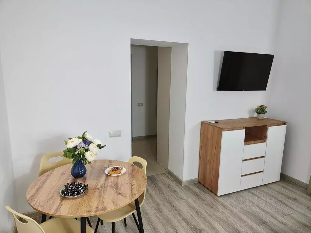 1-к кв. Краснодарский край, Сочи ул. Яна Фабрициуса, 2/4а (30.0 м) - Фото 1