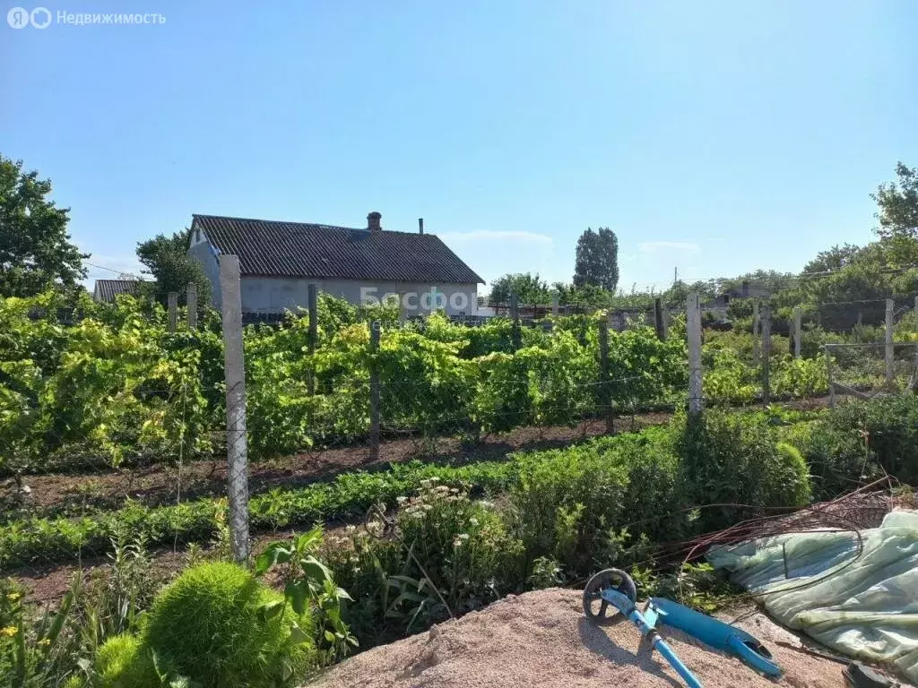 Дом в Новопокровка, улица Петрика, 60 (48 м) - Фото 1
