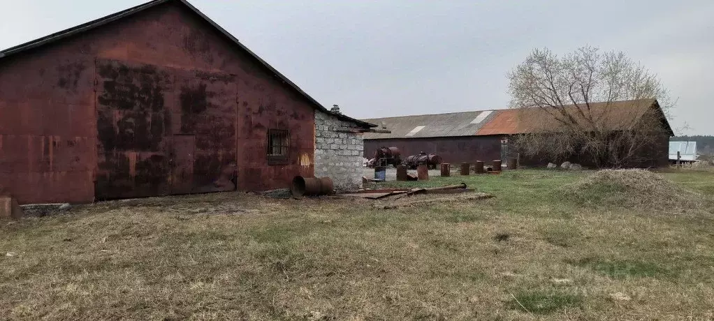 Производственное помещение в Новосибирская область, Мошковский район, ... - Фото 2
