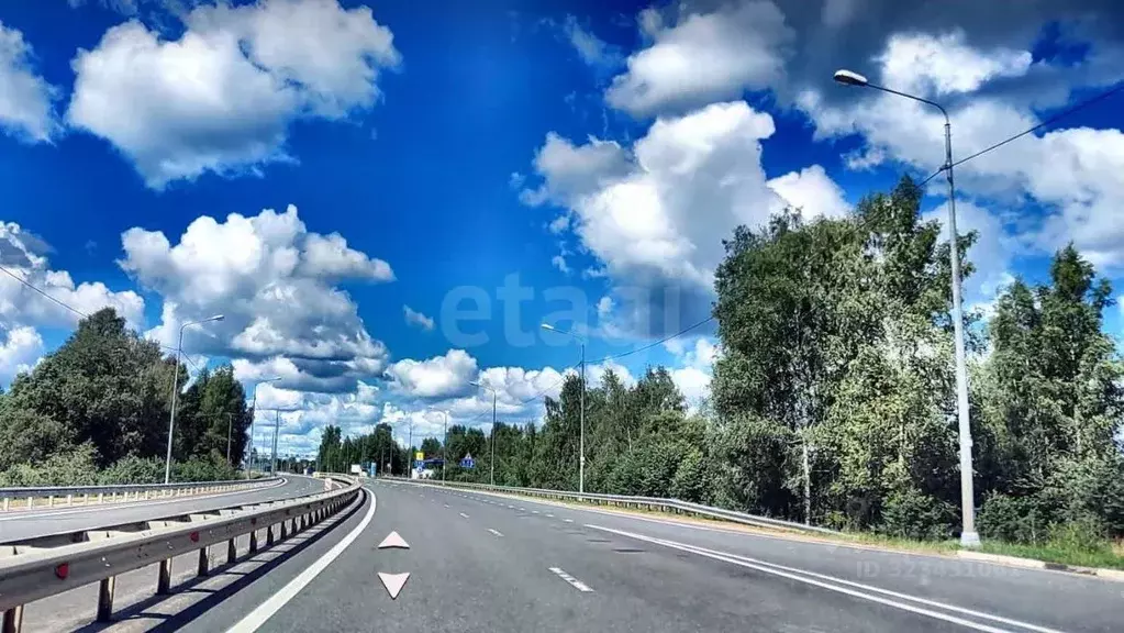 Участок в Псковская область, Себежский район, Сосновый Бор городское ... - Фото 1