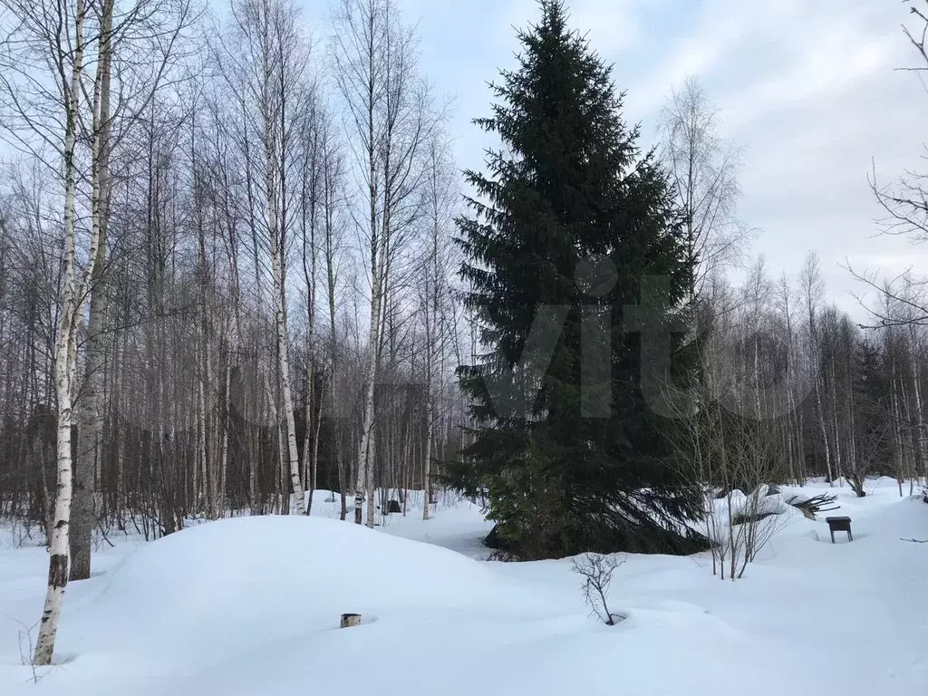 Купить Землю Ижс В Киришском Районе