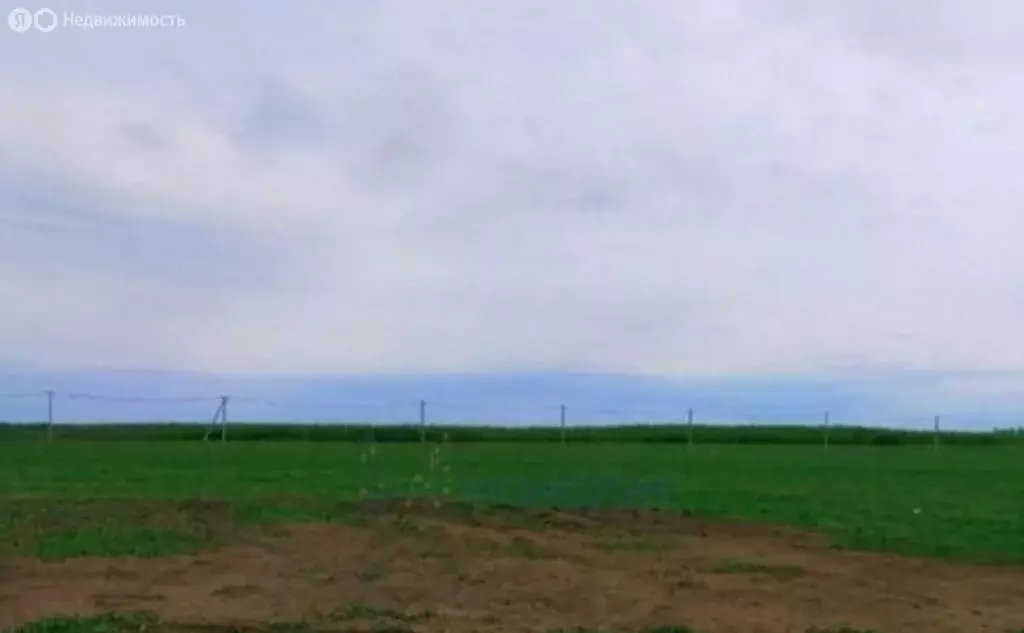 Участок в Нижегородская область, Балахнинский муниципальный округ, ... - Фото 1