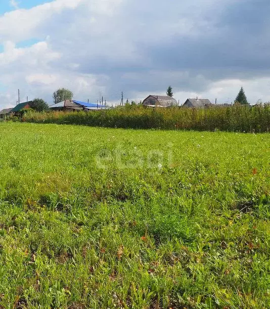 Участок в Новосибирская область, Новосибирский район, Новолуговской ... - Фото 0