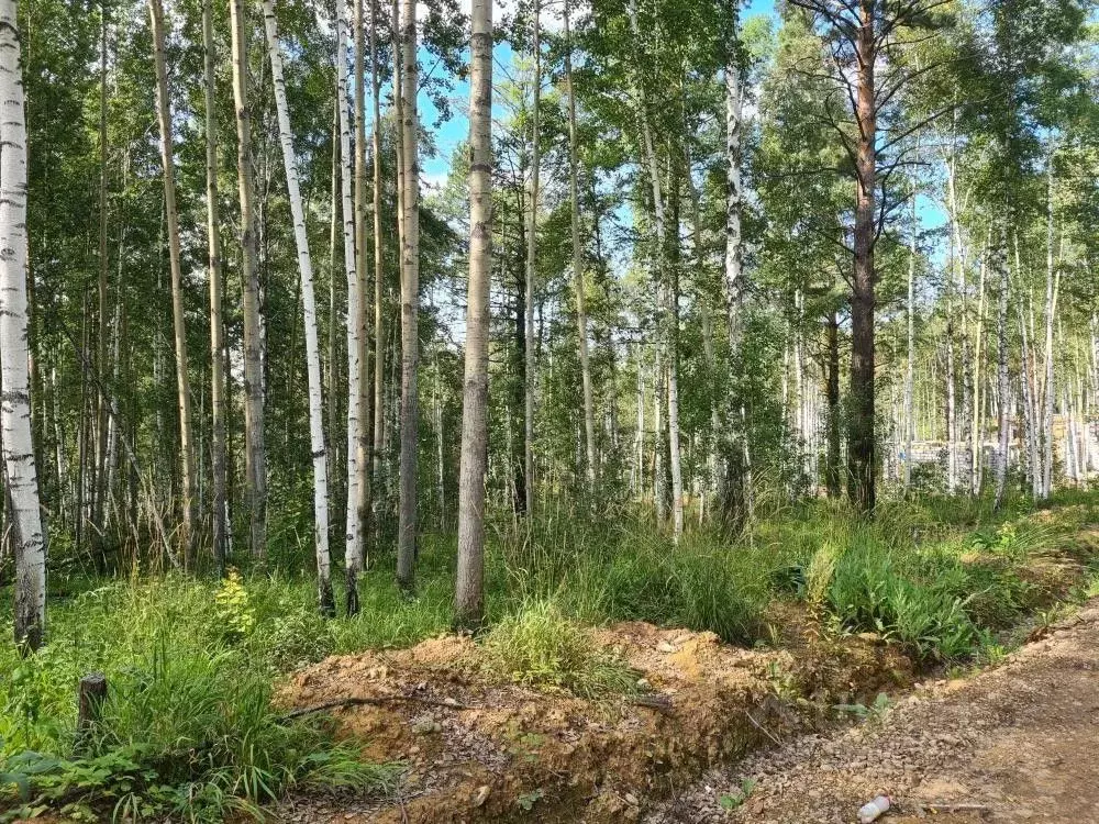 Участок в Иркутская область, Иркутский муниципальный округ, Садко ДПК ... - Фото 2