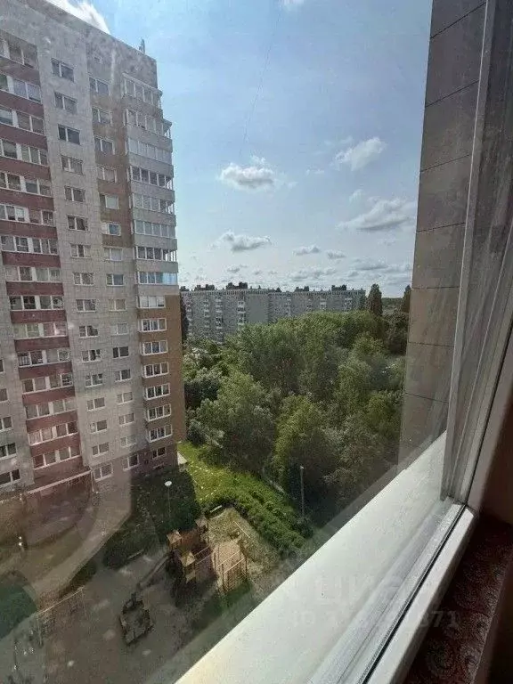 1-к кв. Калининградская область, Калининград ул. Каштановая Аллея, 171 ... - Фото 1