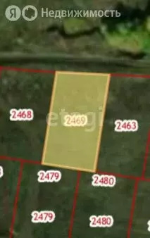 Участок в Липецкий муниципальный округ, СНТ Лесное (8.65 м) - Фото 1