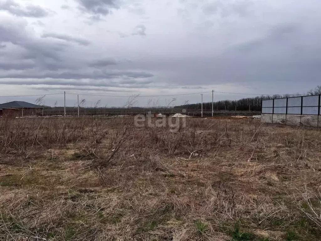 Участок в Ростовская область, Аксайский район, Щепкинское с/пос, ... - Фото 2
