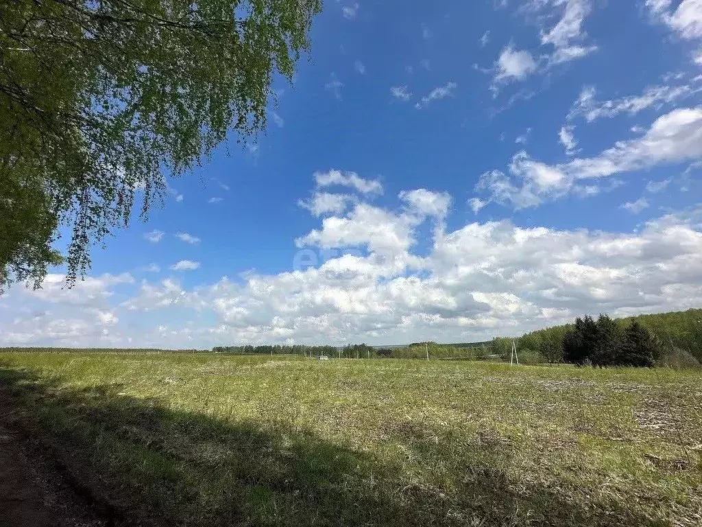 Участок в Нижегородская область, Богородский муниципальный округ, д. ... - Фото 0