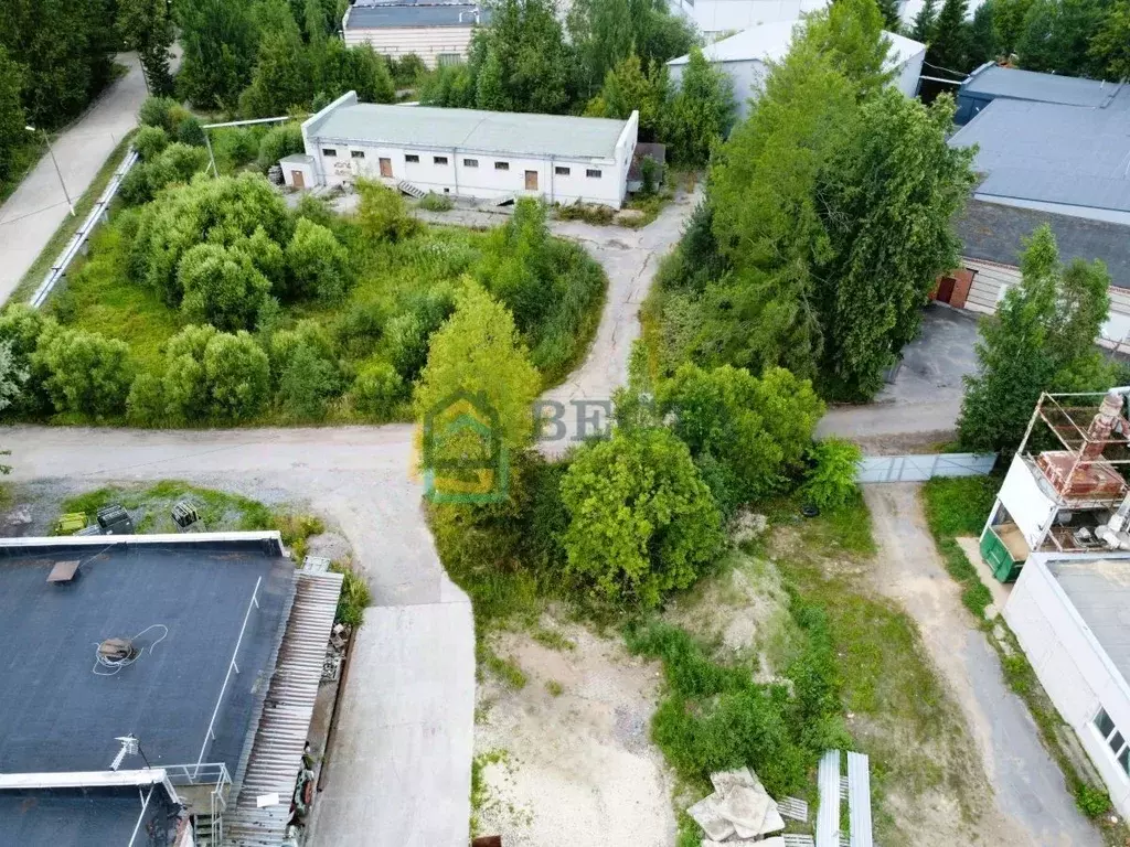 Производственное помещение в Ленинградская область, Никольское ... - Фото 1