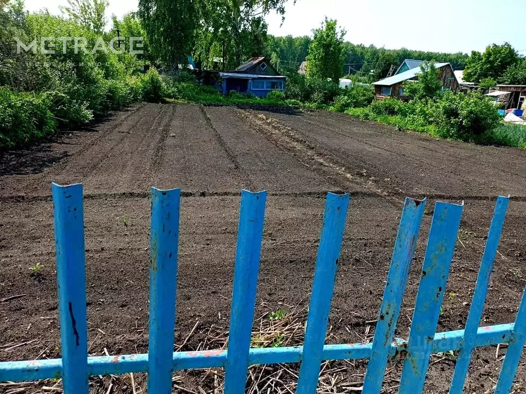 Участок в Новосибирская область, Мошково рп  (5.57 сот.) - Фото 0