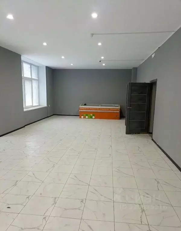 Помещение свободного назначения в Ленинградская область, Сланцы ул. ... - Фото 1