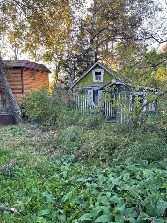 Участок в Хабаровский край, Хабаровск Эмалировщик СНТ, 111 (20.0 сот.) - Фото 1