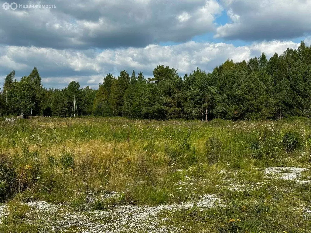 Участок в Свердловская область, Полевской муниципальный округ, посёлок ... - Фото 1