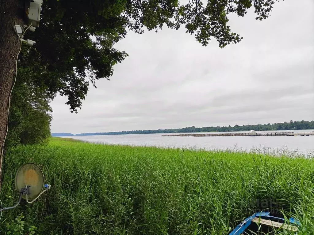 Участок в Ленинградская область, Лужский район, Осьминское с/пос, д. ... - Фото 1
