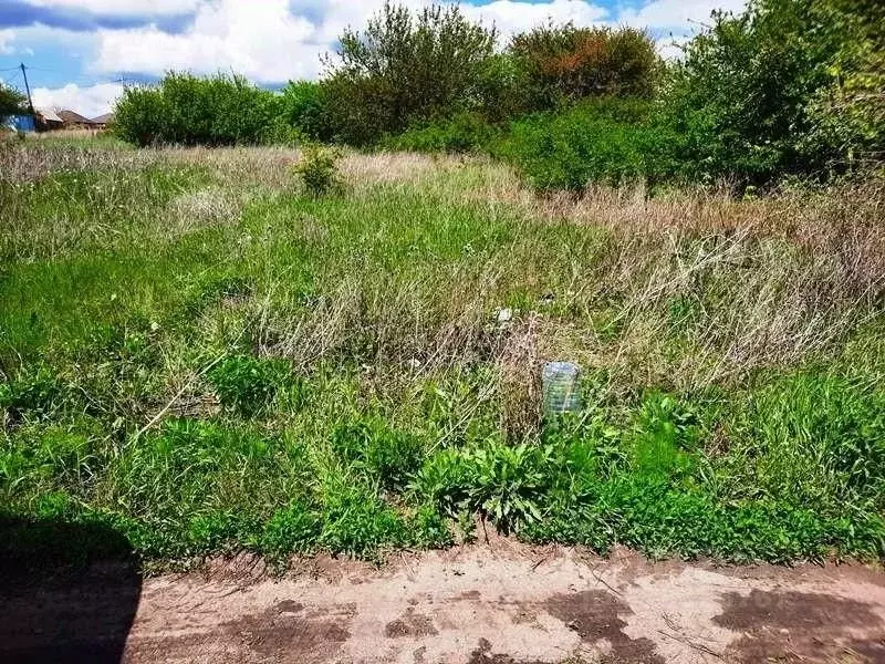Участок в Белгородская область, Белгородский район, Северный городское ... - Фото 1