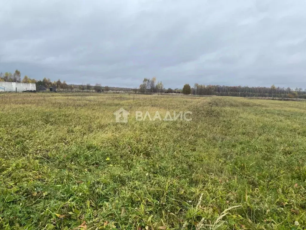 Участок в Калужская область, Малоярославецкий муниципальный округ, ... - Фото 1