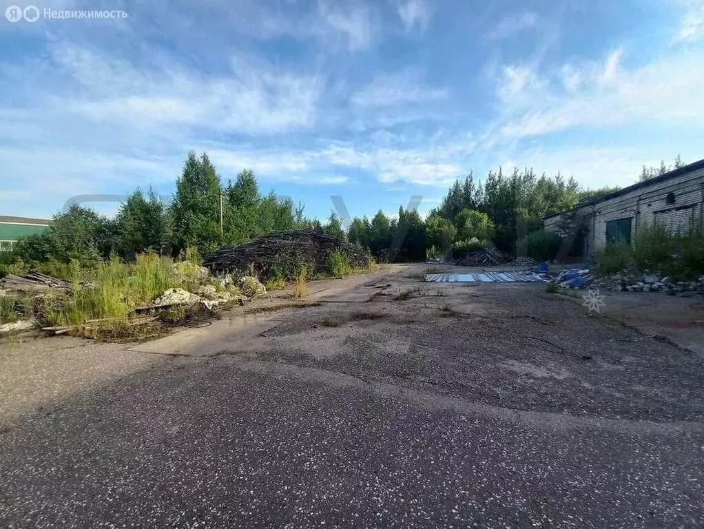 Помещение свободного назначения (530 м) - Фото 0