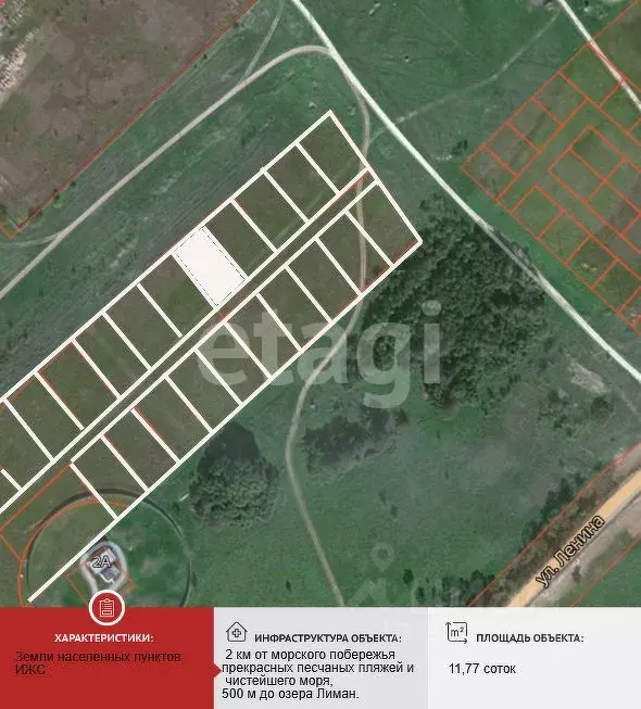 Участок в Крым, Черноморский район, Оленевское с/пос, с. Оленевка  ... - Фото 1