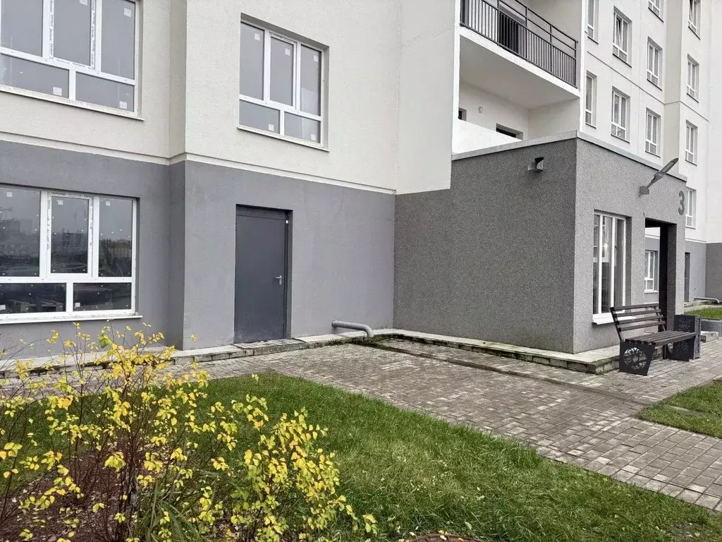 Помещение свободного назначения в Тверская область, Тверь ул. ... - Фото 1