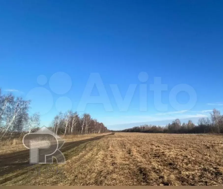 Участок 10 сот. (СНТ, ДНП) - Фото 1