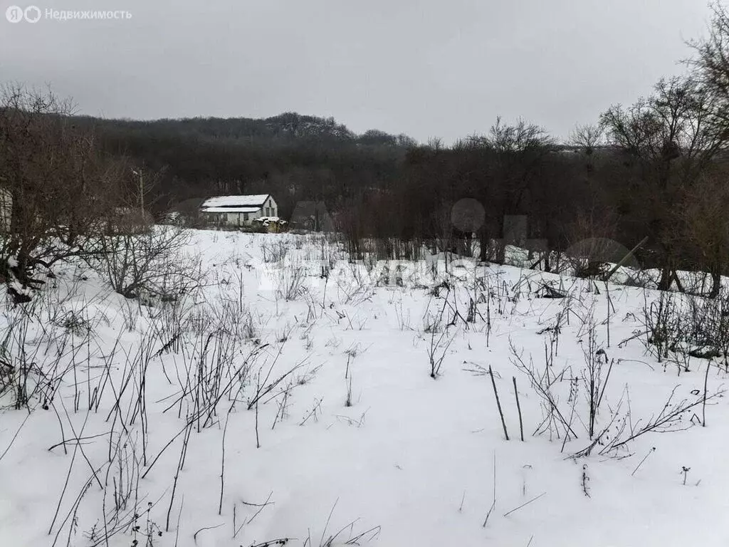 Участок в Белогорский район, Зеленогорское сельское поселение, село ... - Фото 2