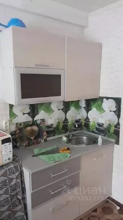 Студия Красноярский край, Красноярск Зеленая Роща мкр, ул. Воронова, ... - Фото 2