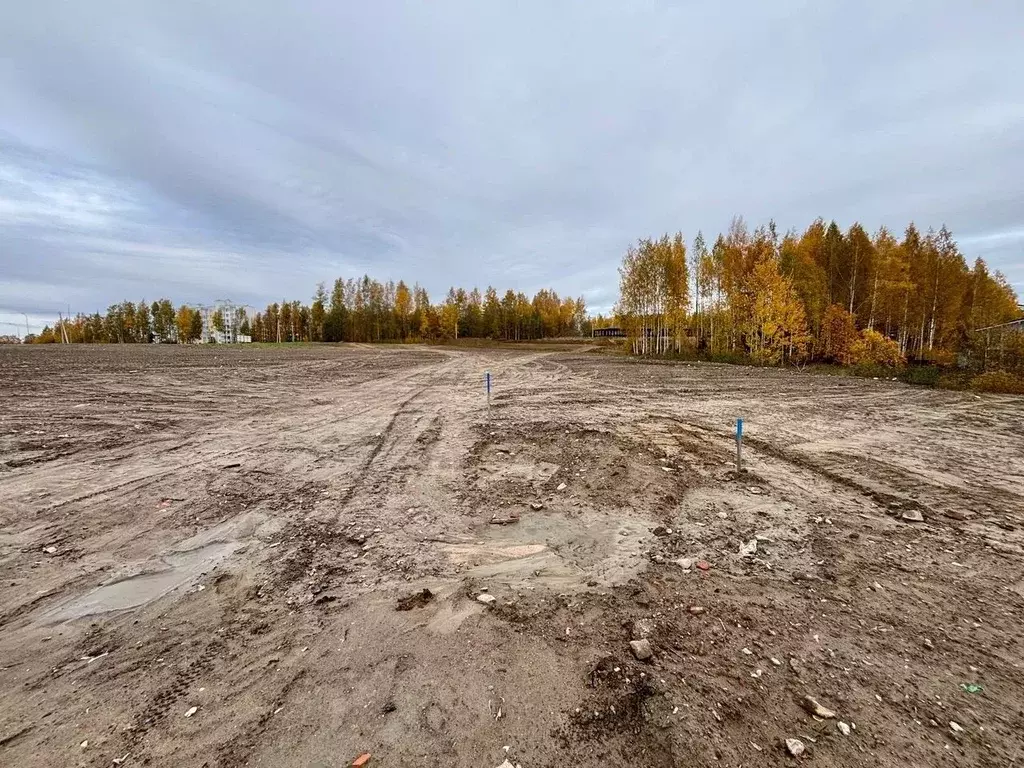 Участок в Ленинградская область, Всеволожский район, Агалатовское ... - Фото 1