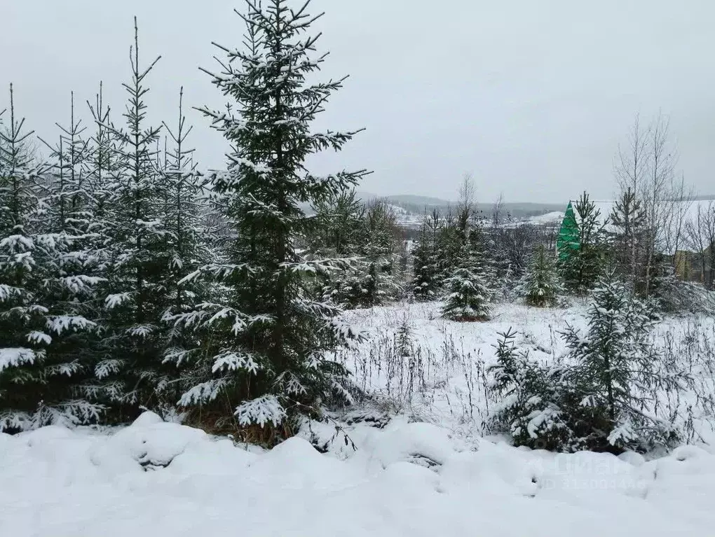 Участок в Свердловская область, Нижний Тагил городской округ, пос. ... - Фото 1