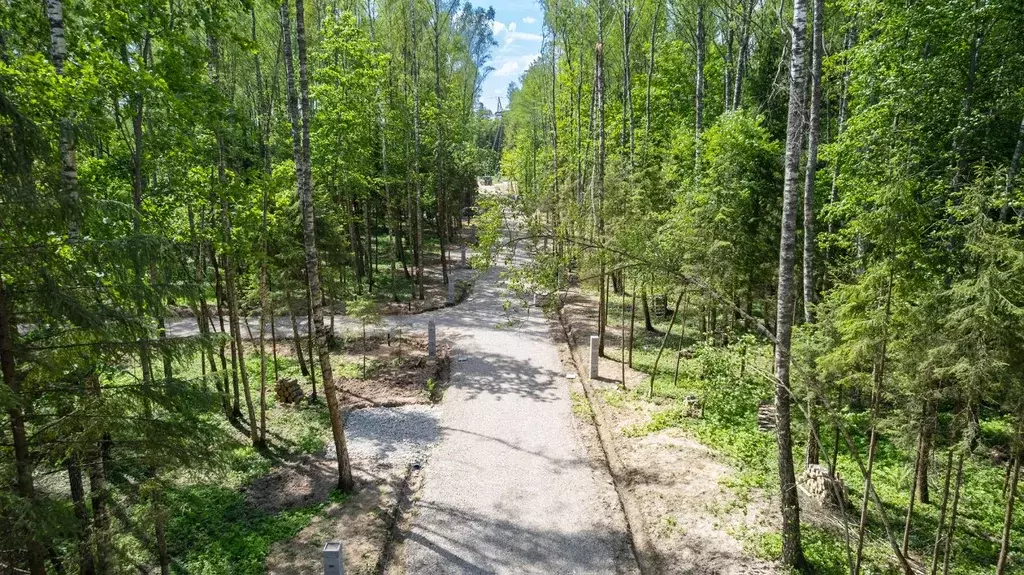 Участок в Московская область, Мытищи городской округ, д. Фелисово, ... - Фото 0