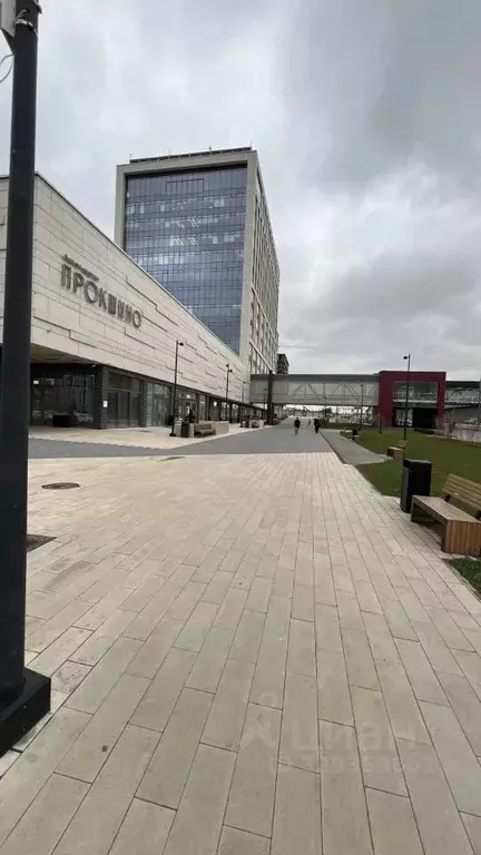 Студия Москва просп. Прокшинский, 5 (19.1 м) - Фото 1