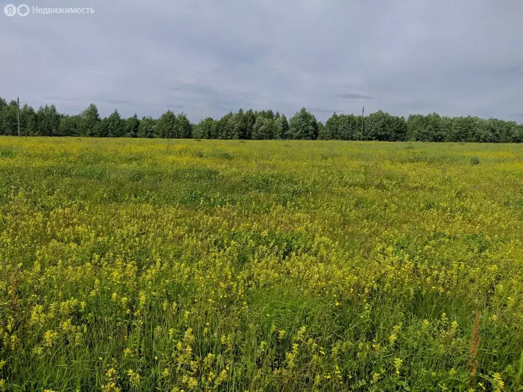 Участок в Республика Коми, муниципальный район Сыктывдинский, село ... - Фото 1