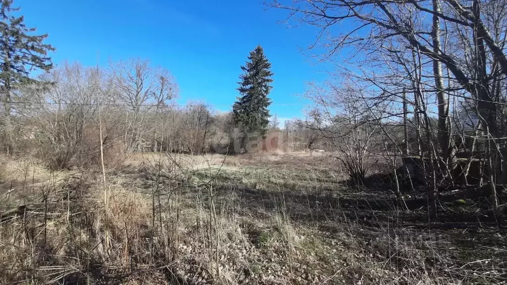 Участок в Калининградская область, Зеленоградский муниципальный округ, ... - Фото 1