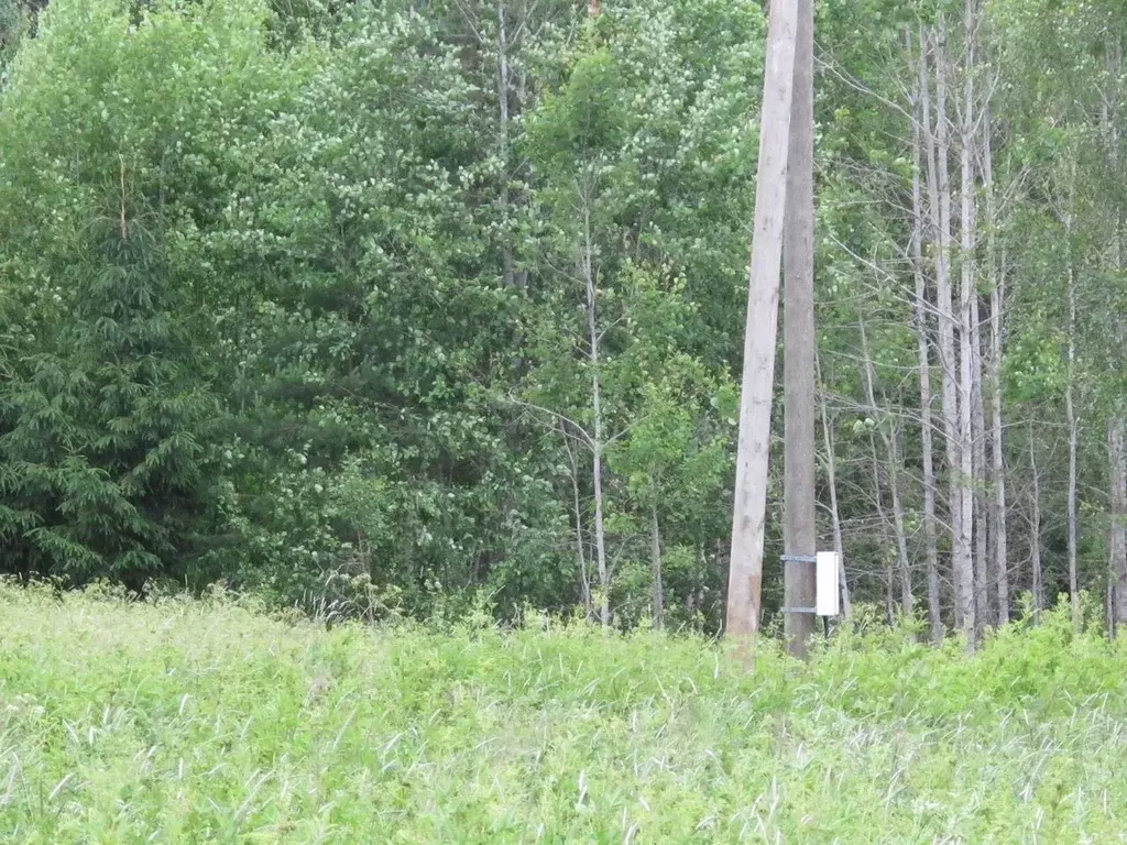 Участок в Ленинградская область, Выборгский район, Советское городское ... - Фото 1