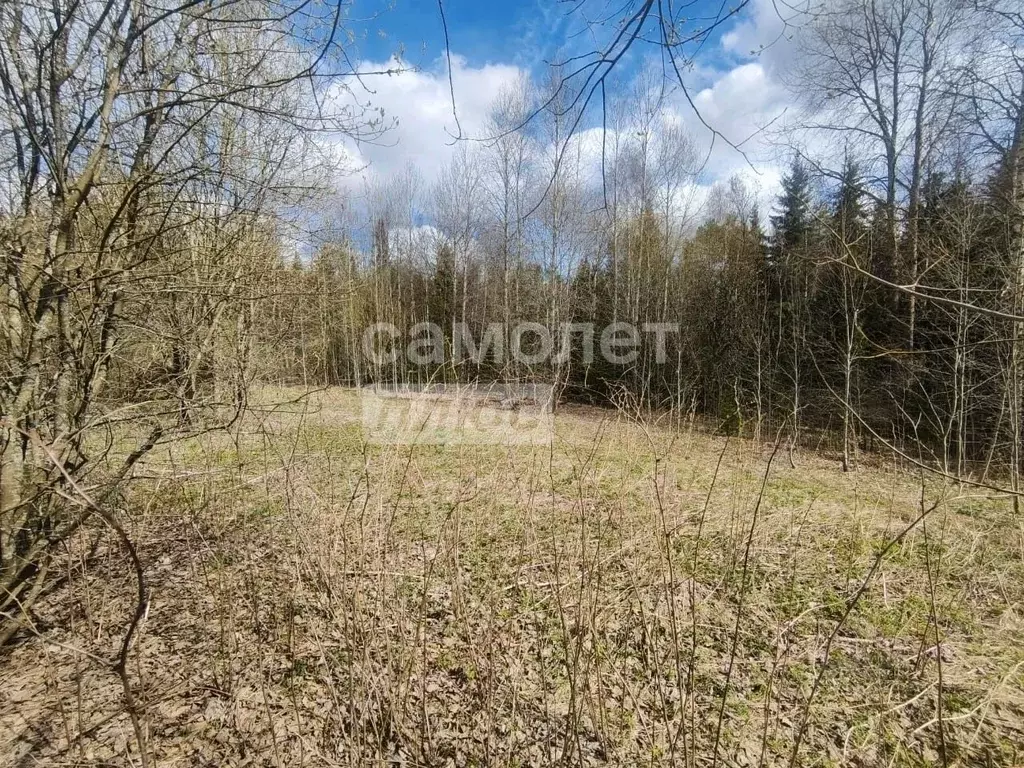 Участок в Ленинградская область, Тосненский район, Шапкинское с/пос, ... - Фото 2