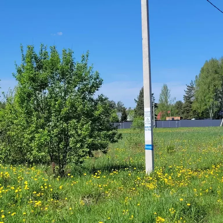 Участок в Московская область, Дмитровский муниципальный округ, с. ... - Фото 2