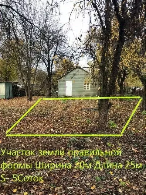 Участок в Брянская область, Брянск Родина садоводческое объединение,  ... - Фото 1