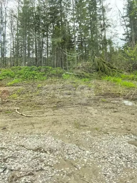 Участок в Березники, Вербная улица (8.48 м) - Фото 1