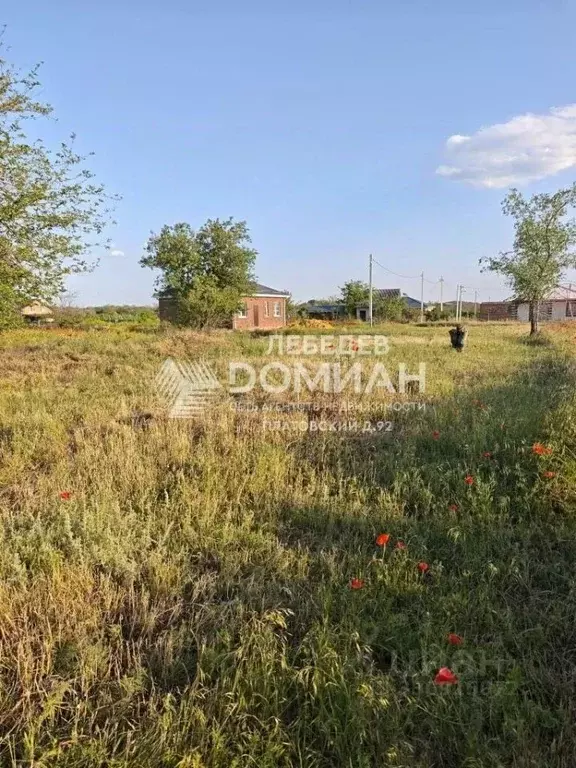 Участок в Ростовская область, Октябрьский район, пос. Персиановский ... - Фото 1