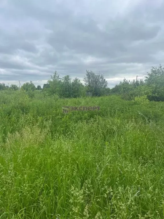 Участок в Тюменская область, Ялуторовск проезд Анисимовский (9.0 сот.) - Фото 0