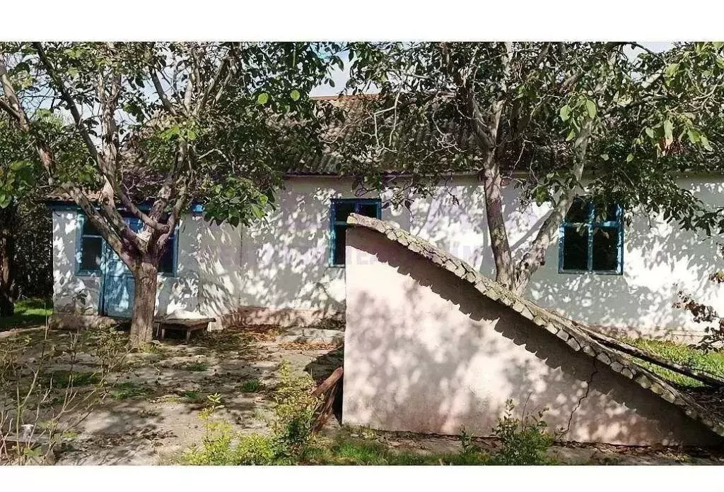 Дом в Калиновка, Виноградная улица (104 м) - Фото 1