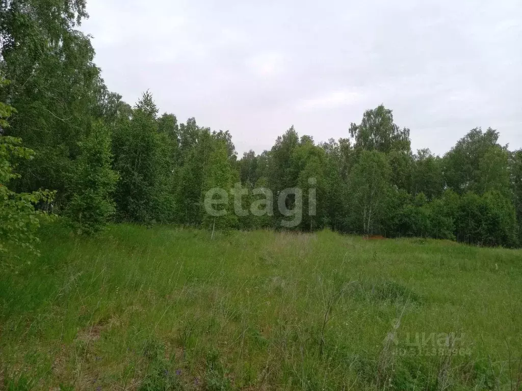 Участок в Челябинская область, Сосновский район, Кременкульское с/пос, ... - Фото 1