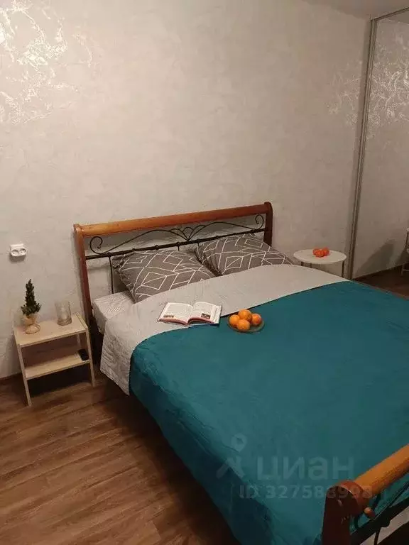1-к кв. Псковская область, Псковский муниципальный округ, ... - Фото 1