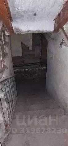 Помещение свободного назначения в Воронежская область, Воронеж ... - Фото 1