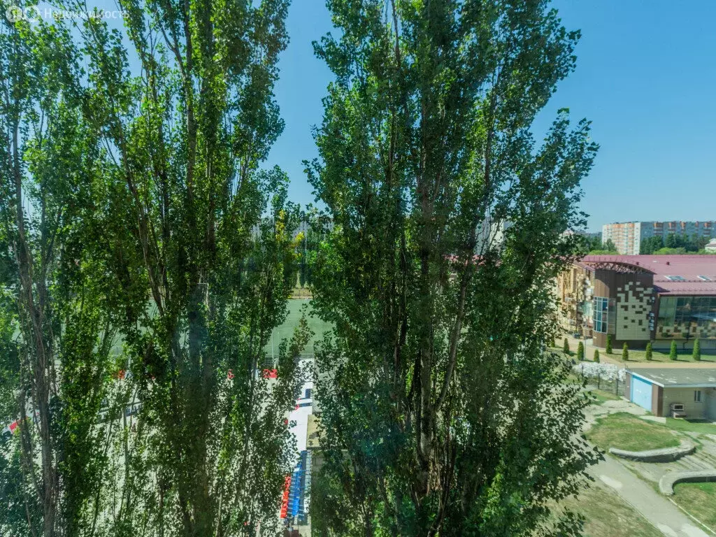 1-комнатная квартира: Ставрополь, улица Пирогова, 15 (43.3 м) - Фото 0