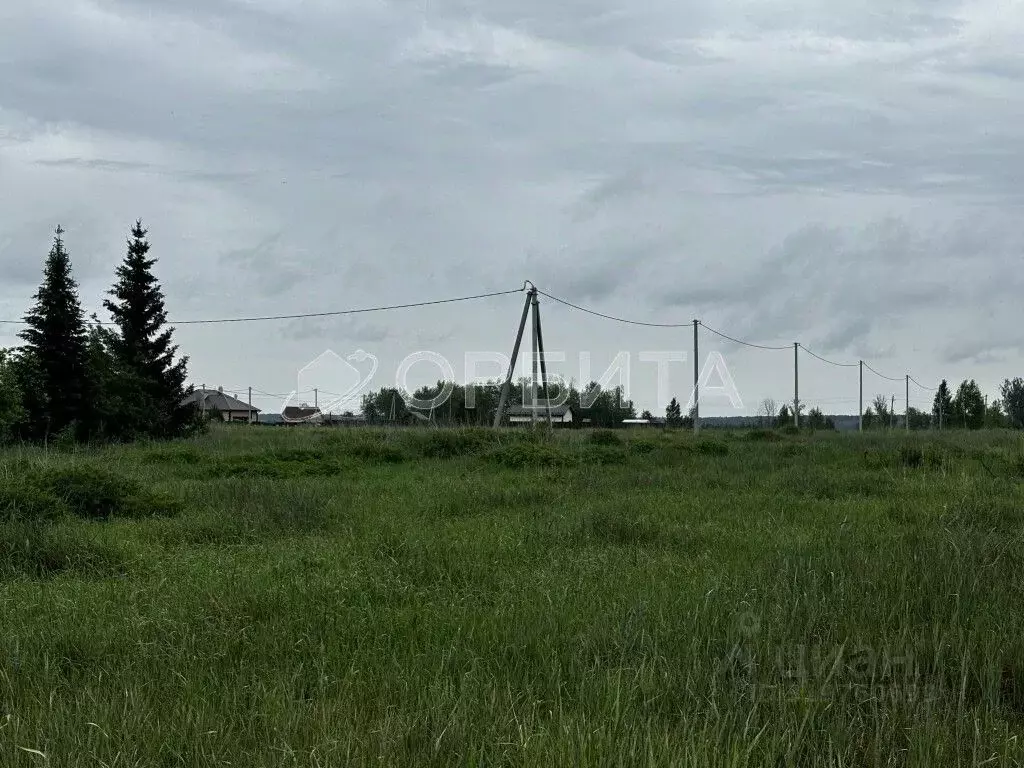 Участок в Тюменская область, Тюменский район, д. Молчанова  (10.0 ... - Фото 0