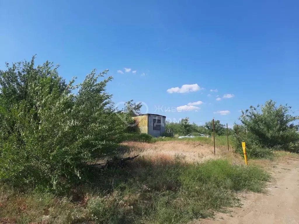 Участок в Волгоградская область, Городищенский район, Царицынское ... - Фото 0