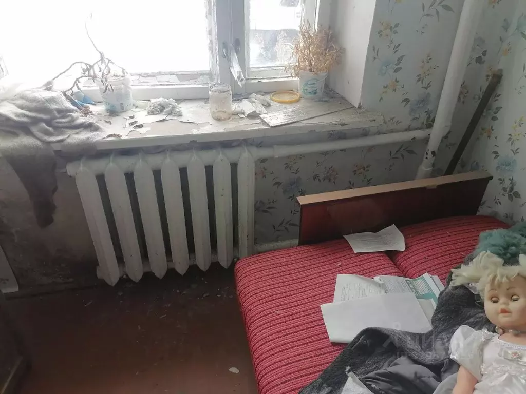 Помещение свободного назначения в Орловская область, Долгое пгт ул. ... - Фото 1