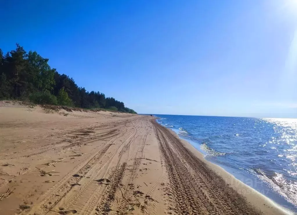 Участок в Ленинградская область, Кировский район, Суховское с/пос, д. ... - Фото 1