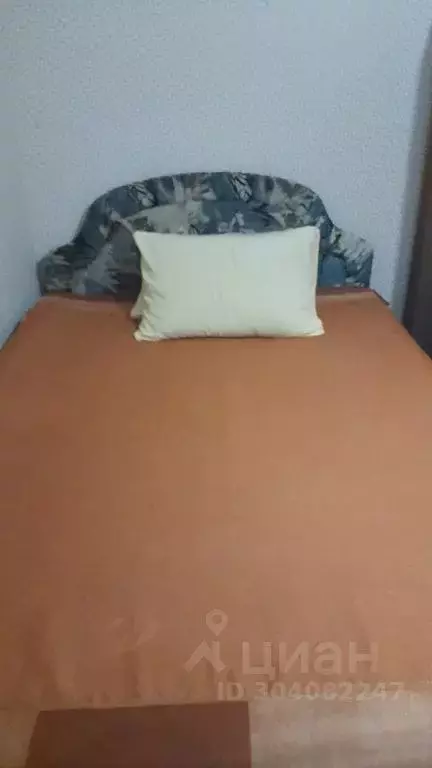 3-к кв. Алтайский край, Рубцовск Алтайская ул., 181 (58.0 м) - Фото 2